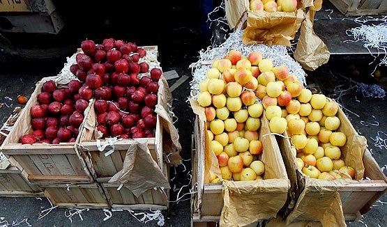 فروش پوشال میوه